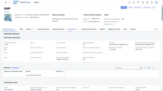 SAP ERP - gestion de données